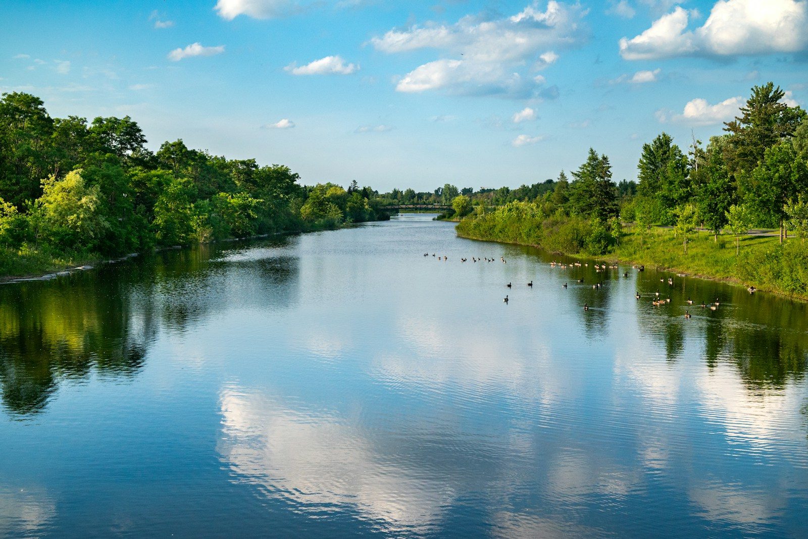 Calm river reflecting blue sky and green trees.